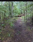 Indigo Springs Campground