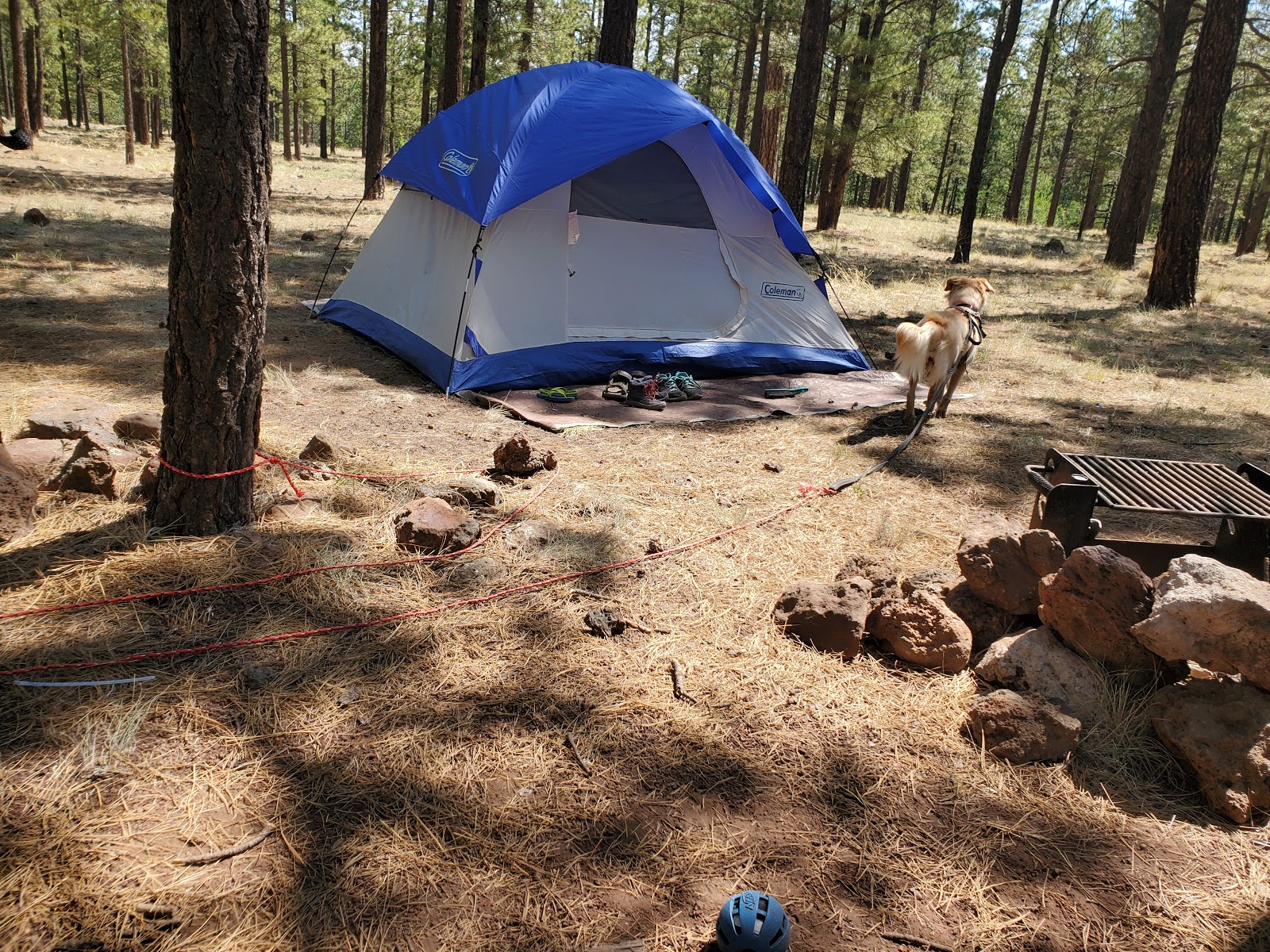 Benney Creek Group Campground