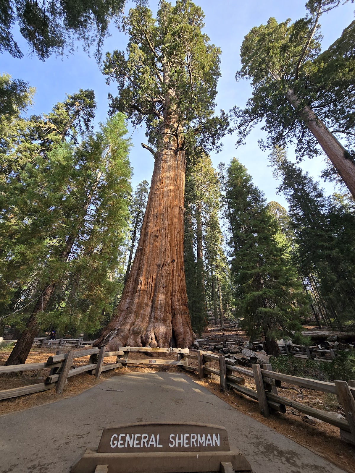 Sequoia and Kings Canyon National Parks
