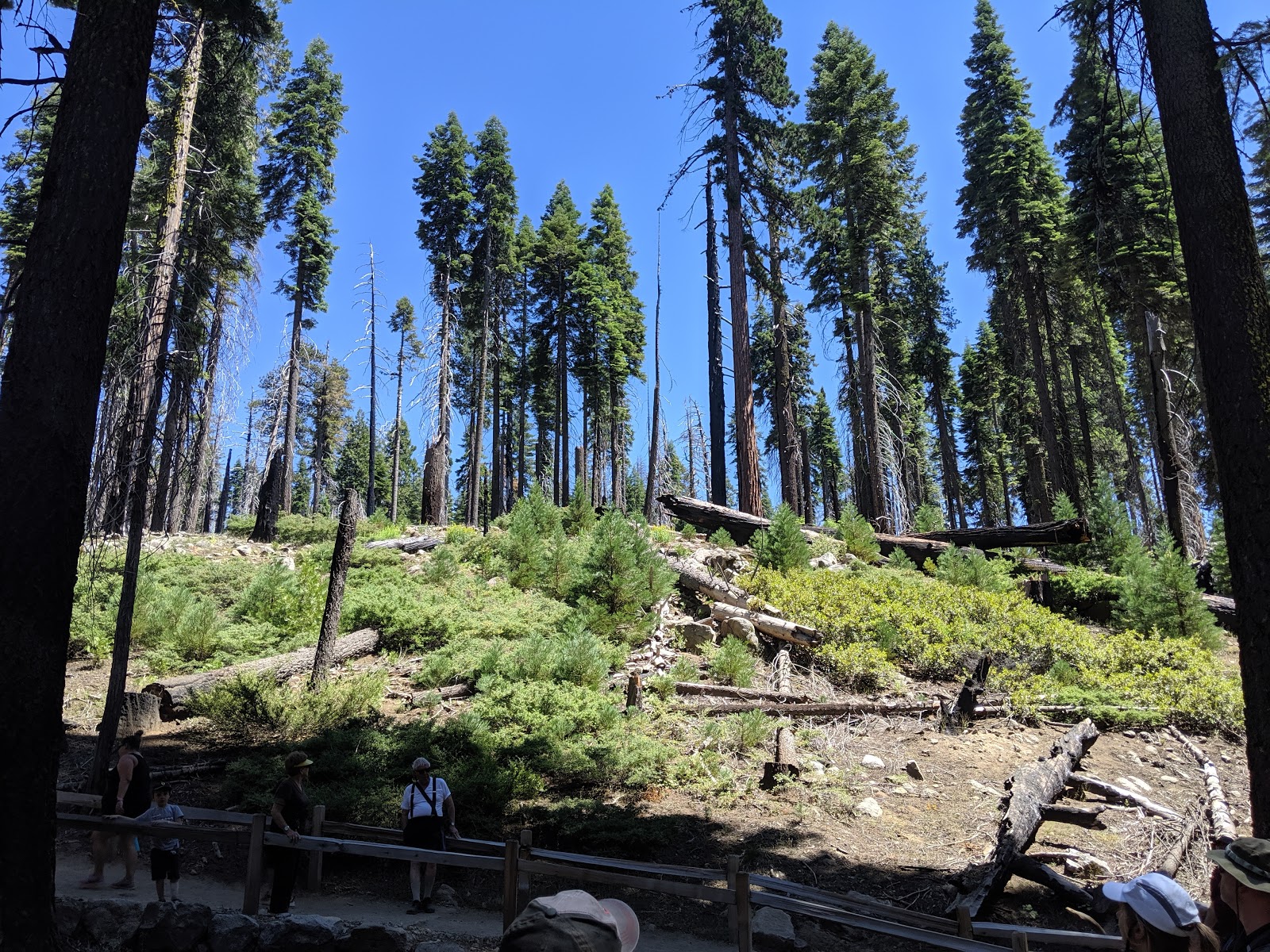 Summerdale Campground