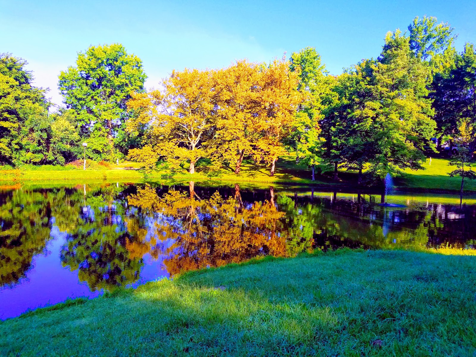 Cincinnati South Campground (KOA)