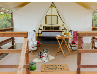 Lake Sonoma Boat-In Sites
