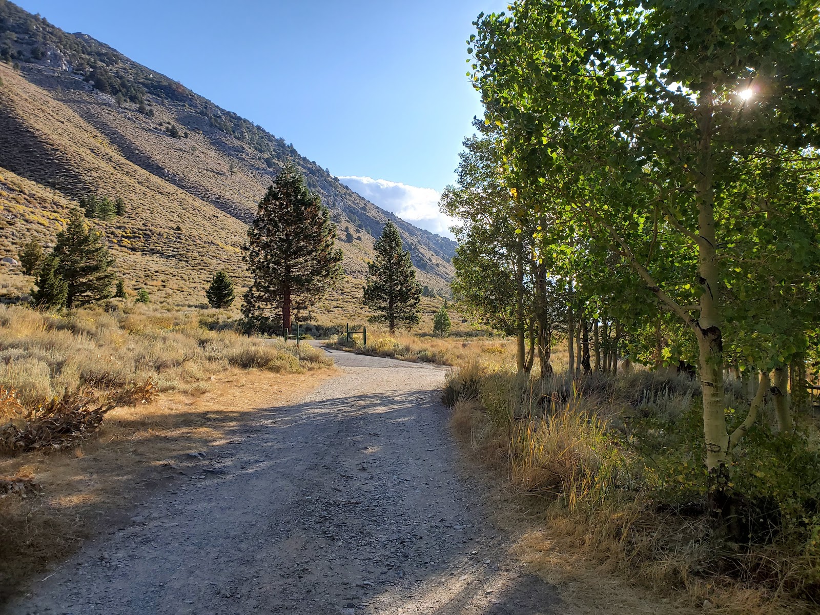 Lundy Canyon Campground