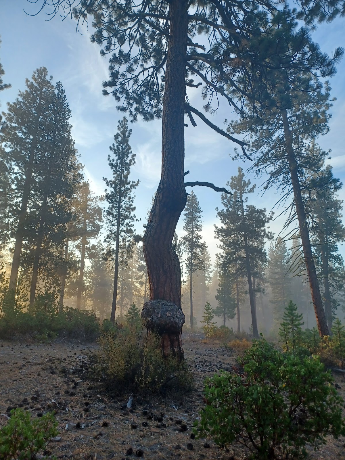 Walt Haring Sno-Park