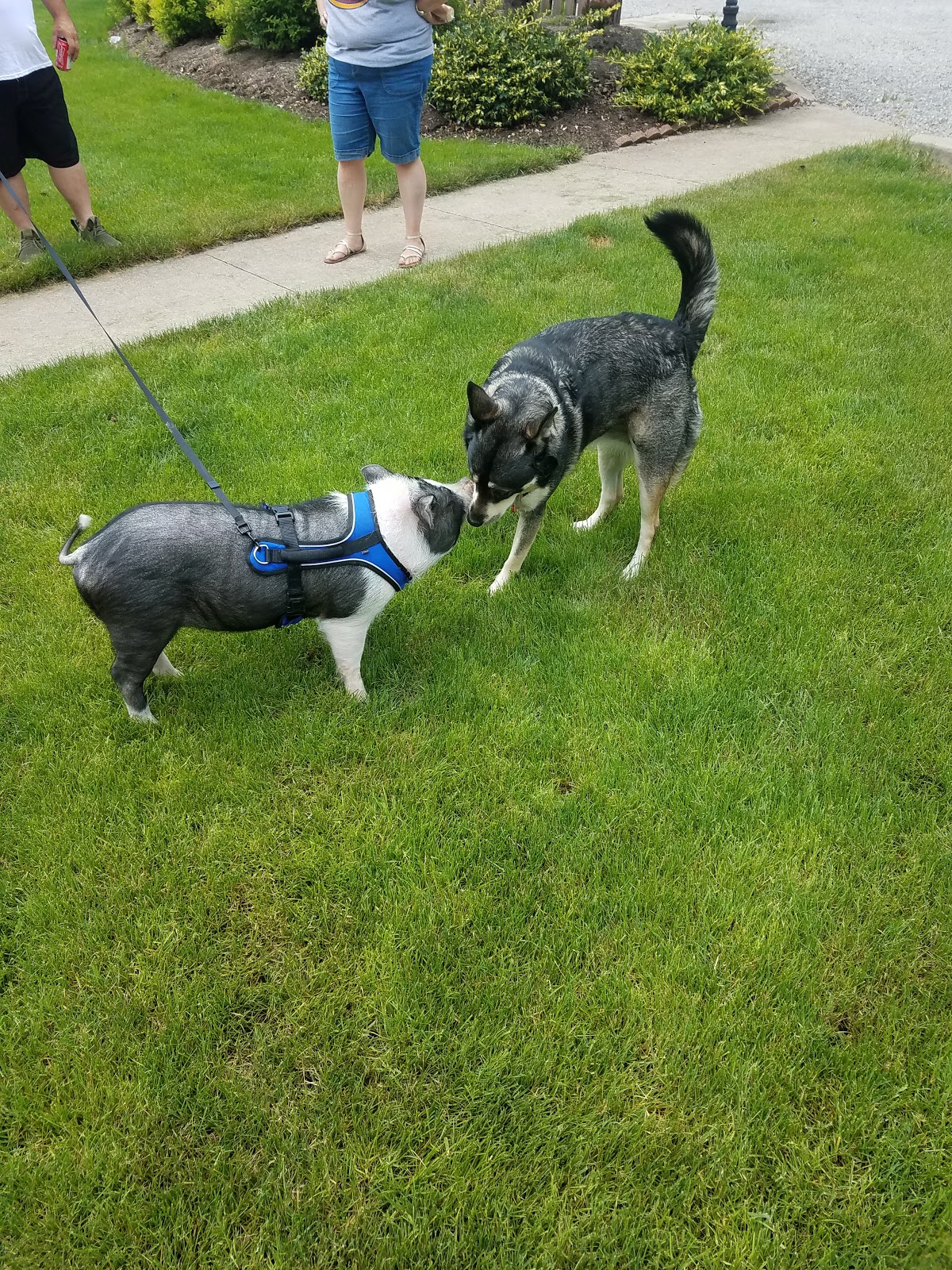 Wildwood Acres Family Campground