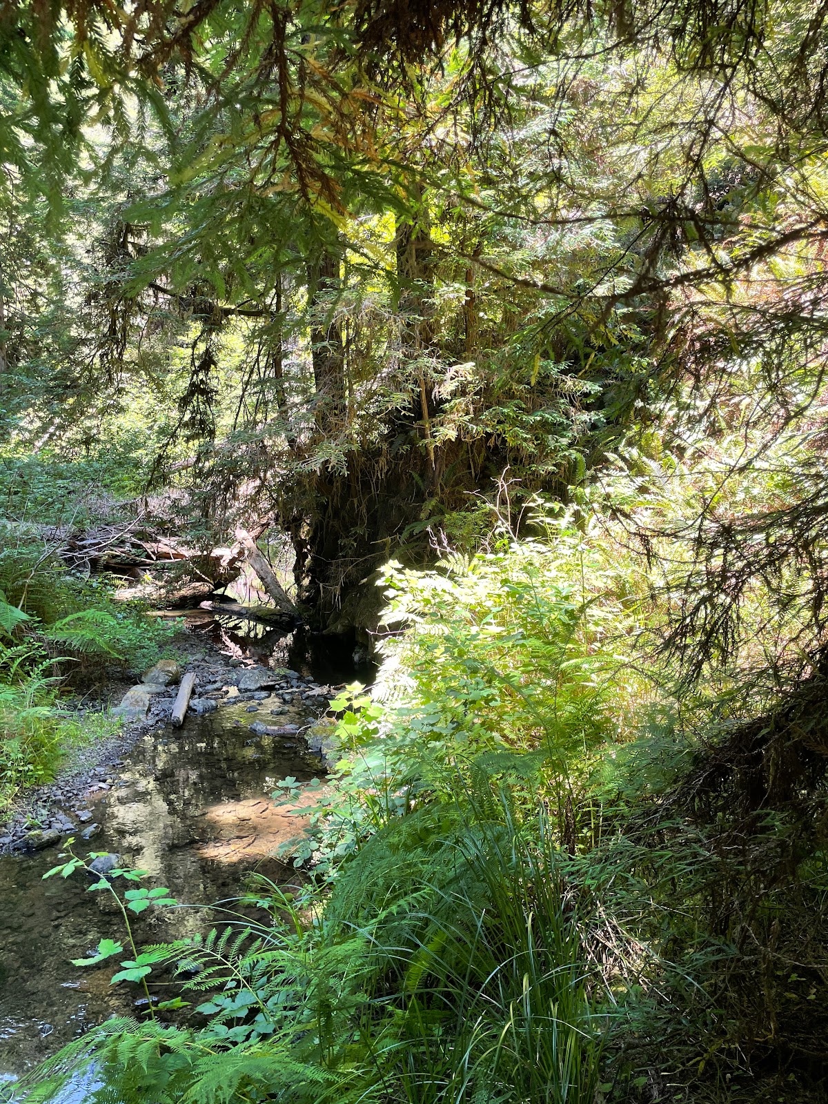 Paul M. Dimmick Campground