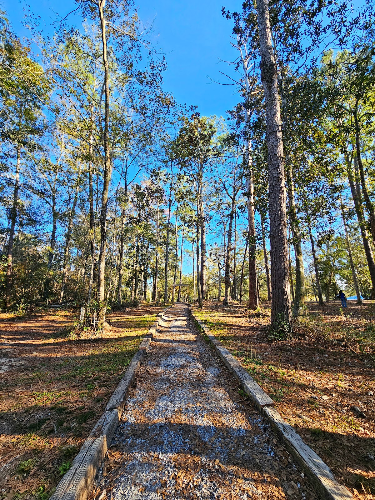 McLeod Park Campground