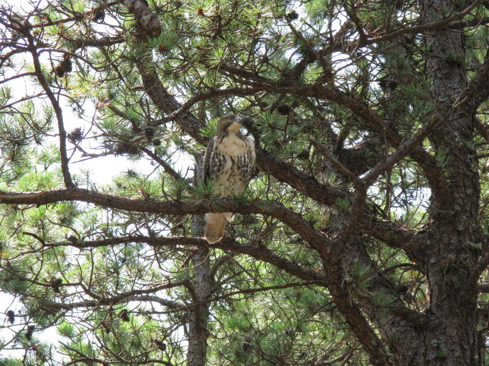 North of Highland Camping Area