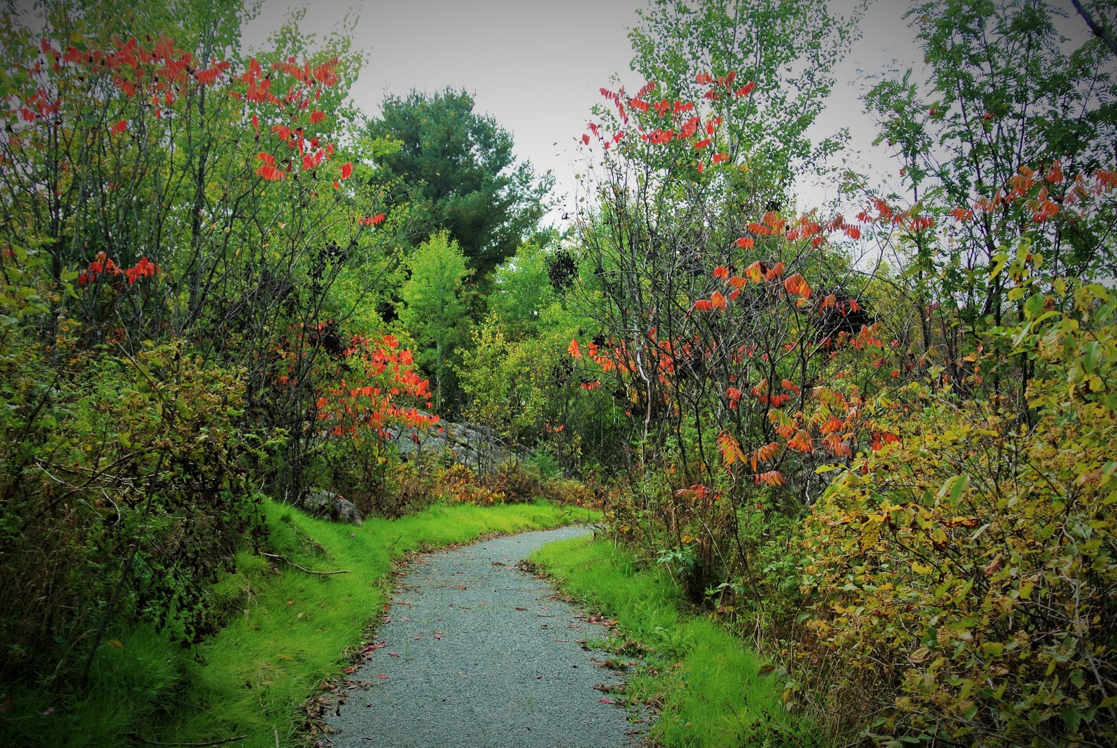 Northern Lights Campground