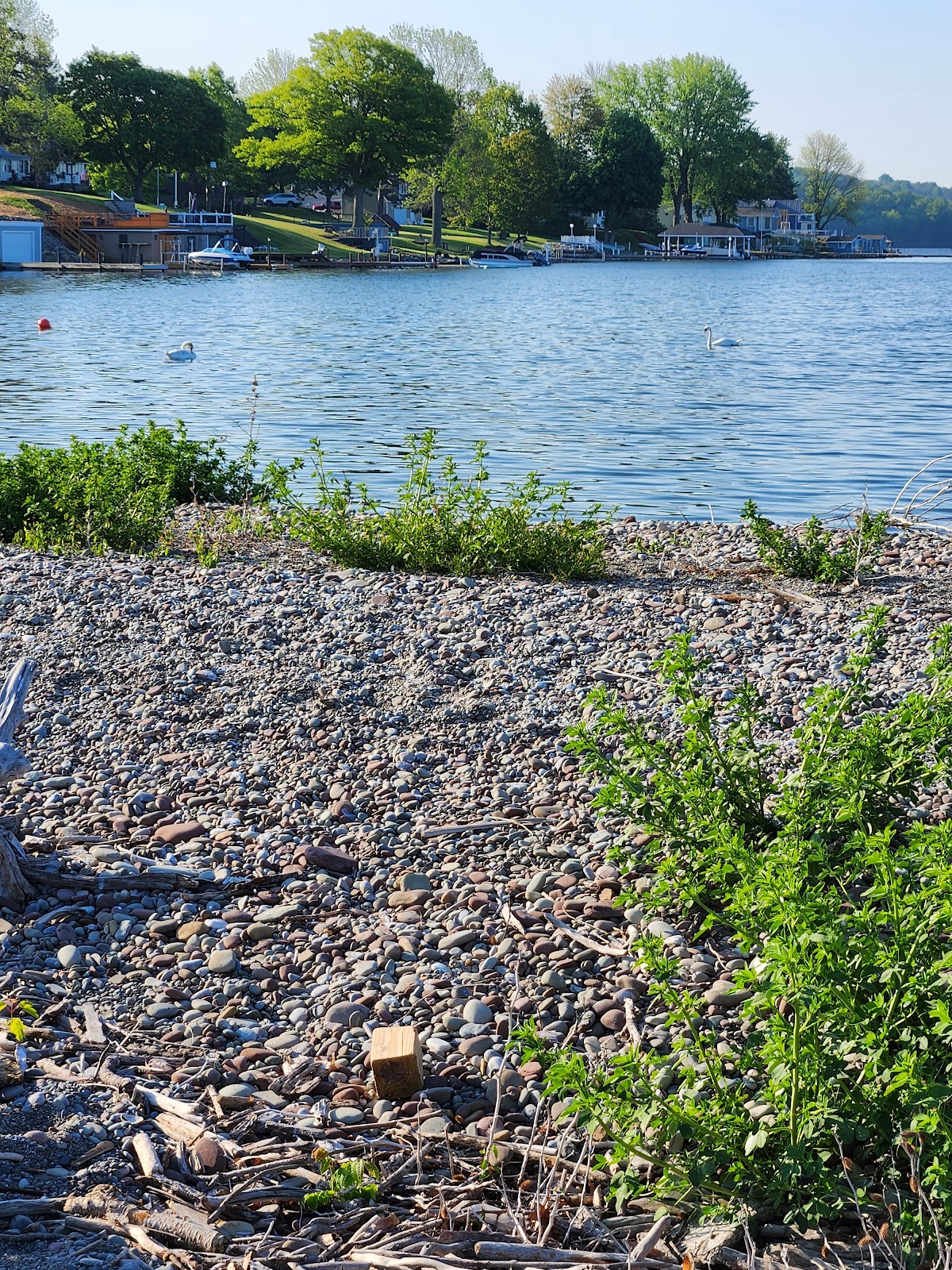 Port Bay RV Park & Campground