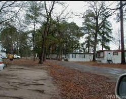 Burke Pine Oaks Oasis