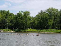 Silver Lake Travel Trailer Park