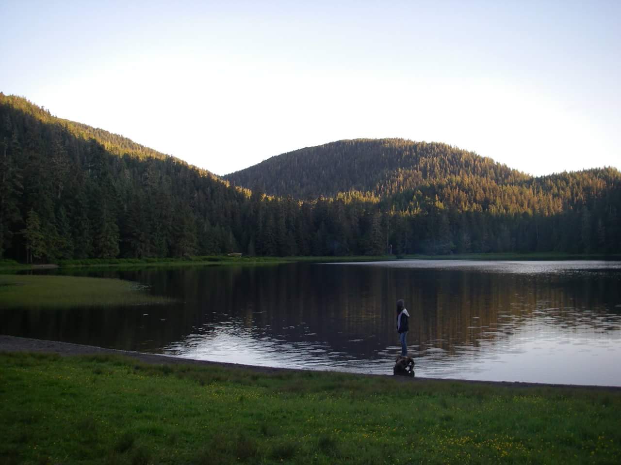 Signal Creek NF Campground