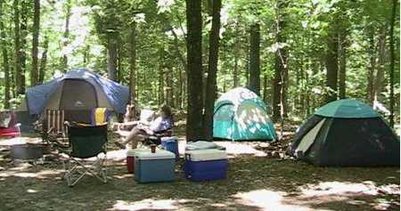 Williams Hill Pass OHV Park