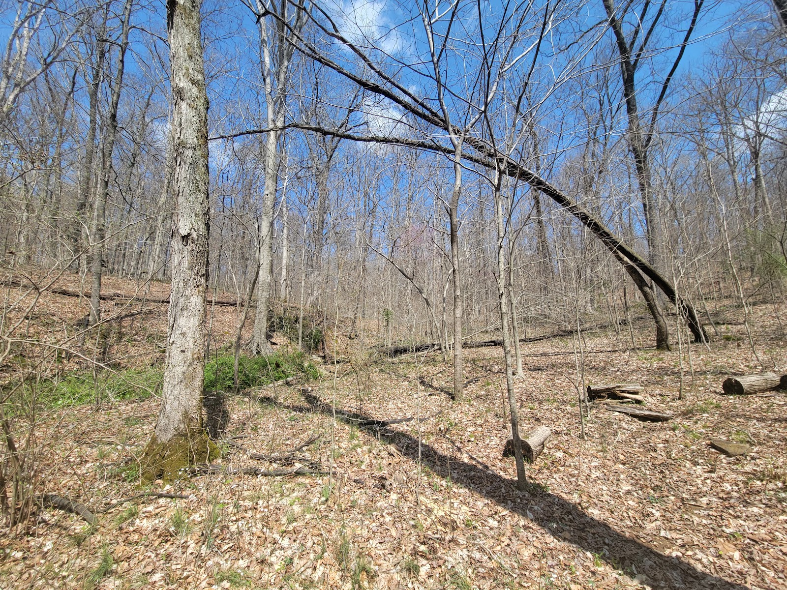 Saddle Lake Rec Area