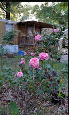 Pecanland Mobile Home & R.V. Park