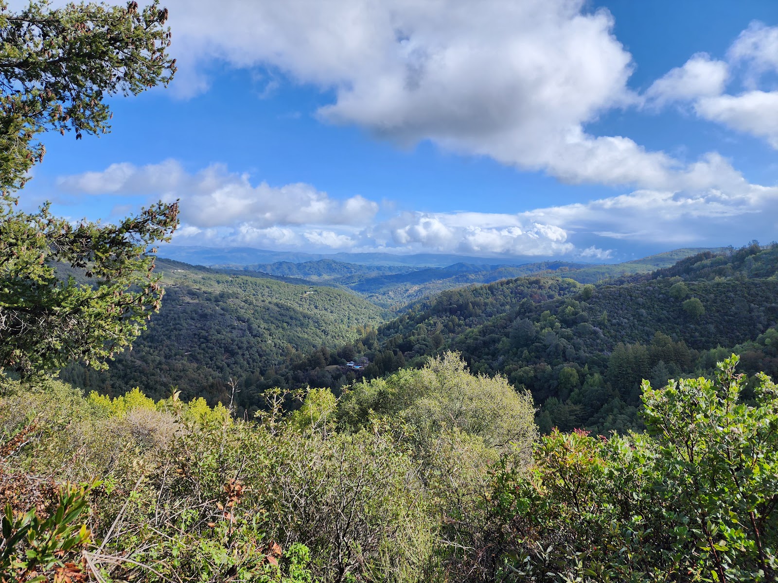Uvas Canyon County Park