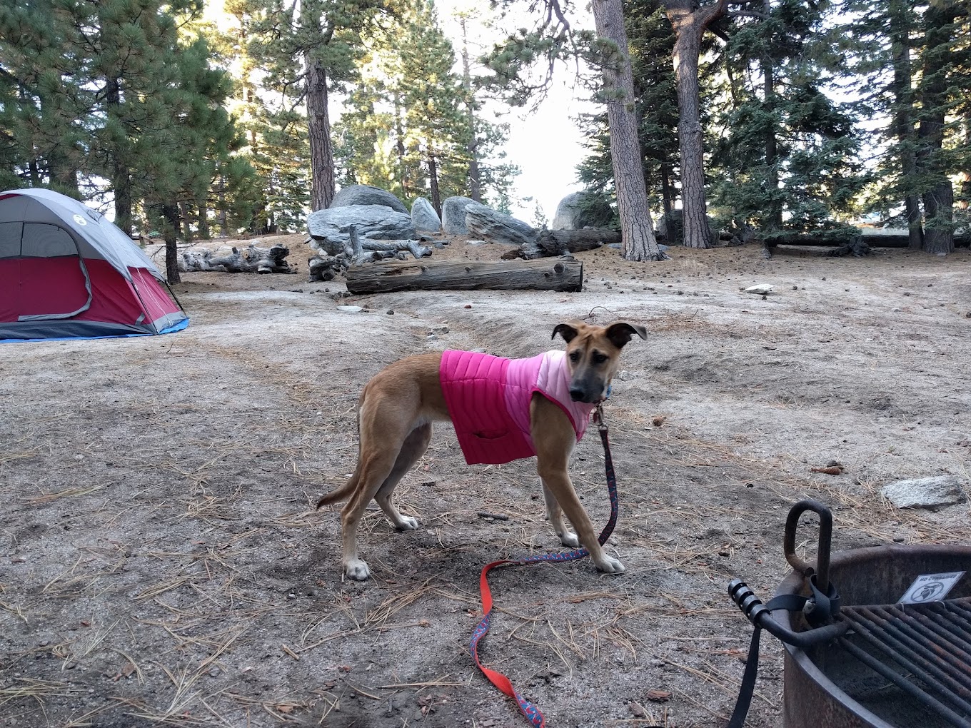 Boulder Basin Campground