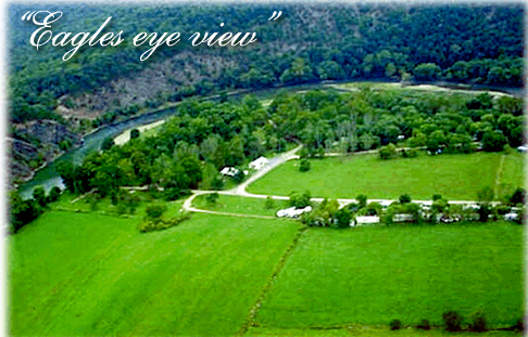 Milleson's Walnut Grove