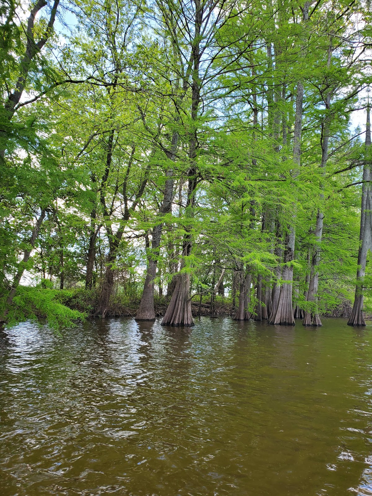 Horseshoe Lake State Fish and Wildlife Area (Alexander County)