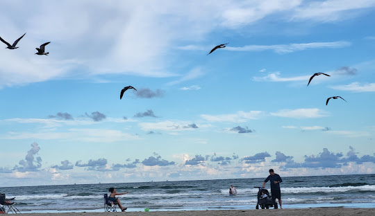I. B. Magee Beach Park