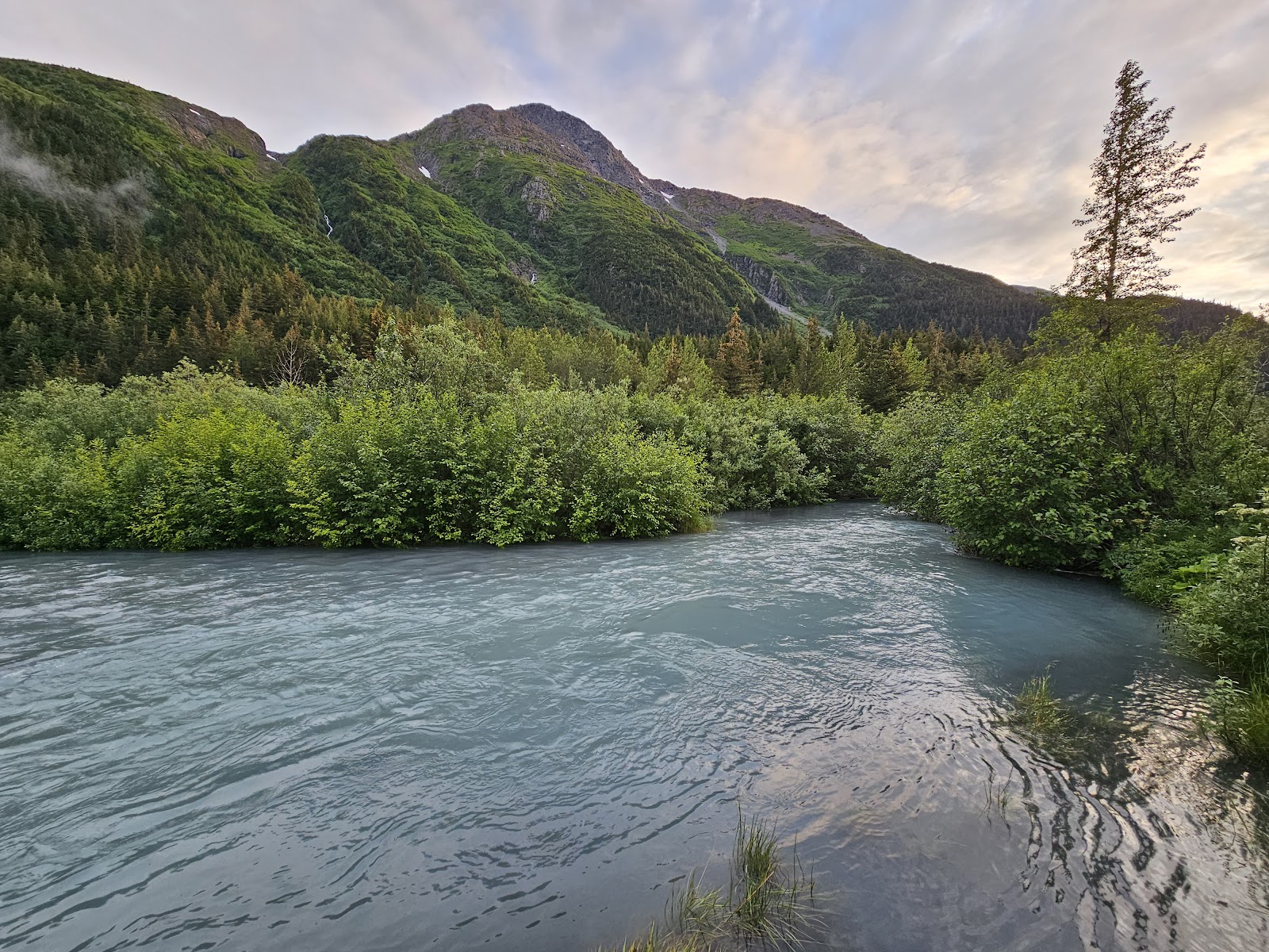 Black Bear NF Campground