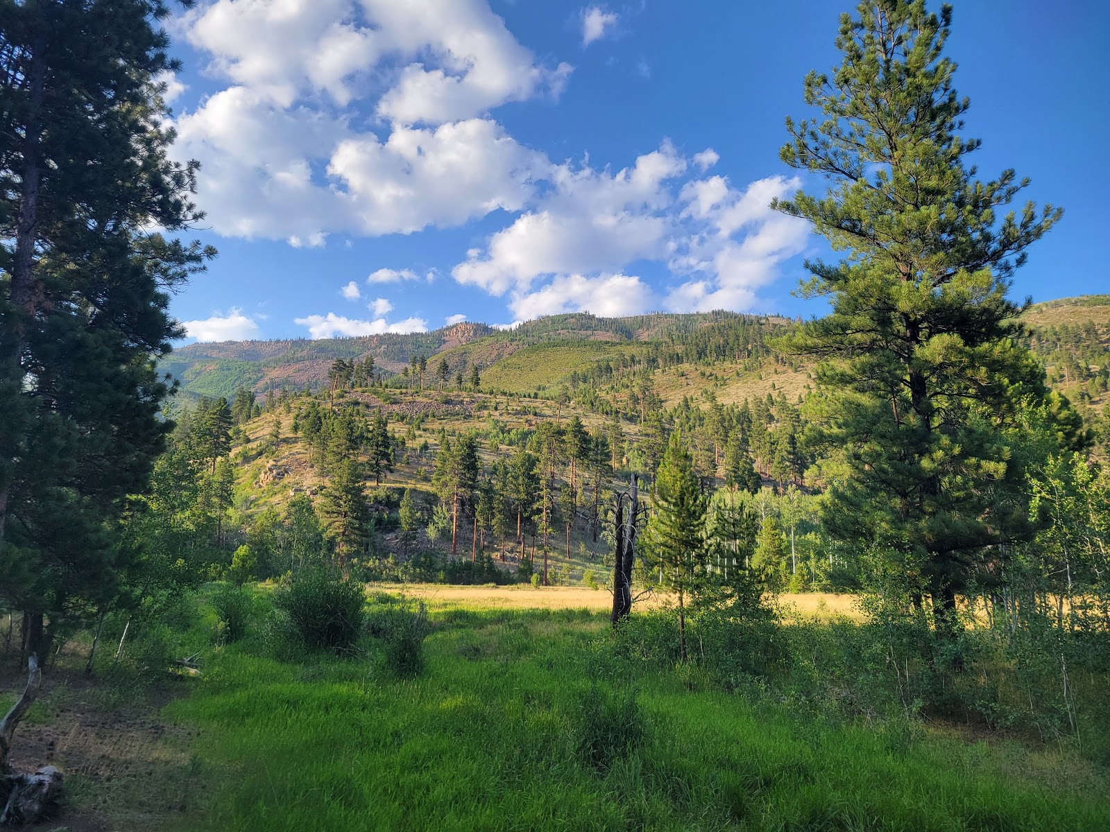Uinta Campground