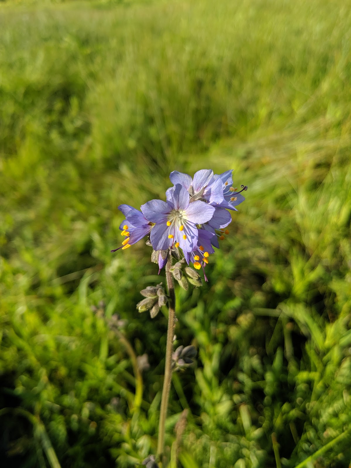 Walton Lake Campground
