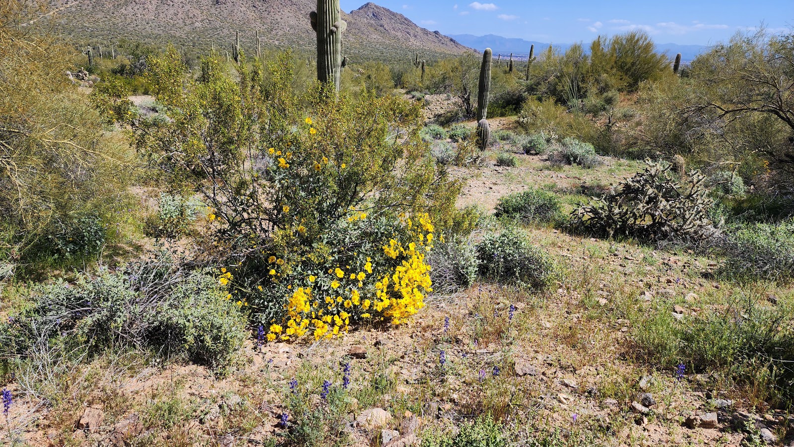 San Tan Mountain Regional Park