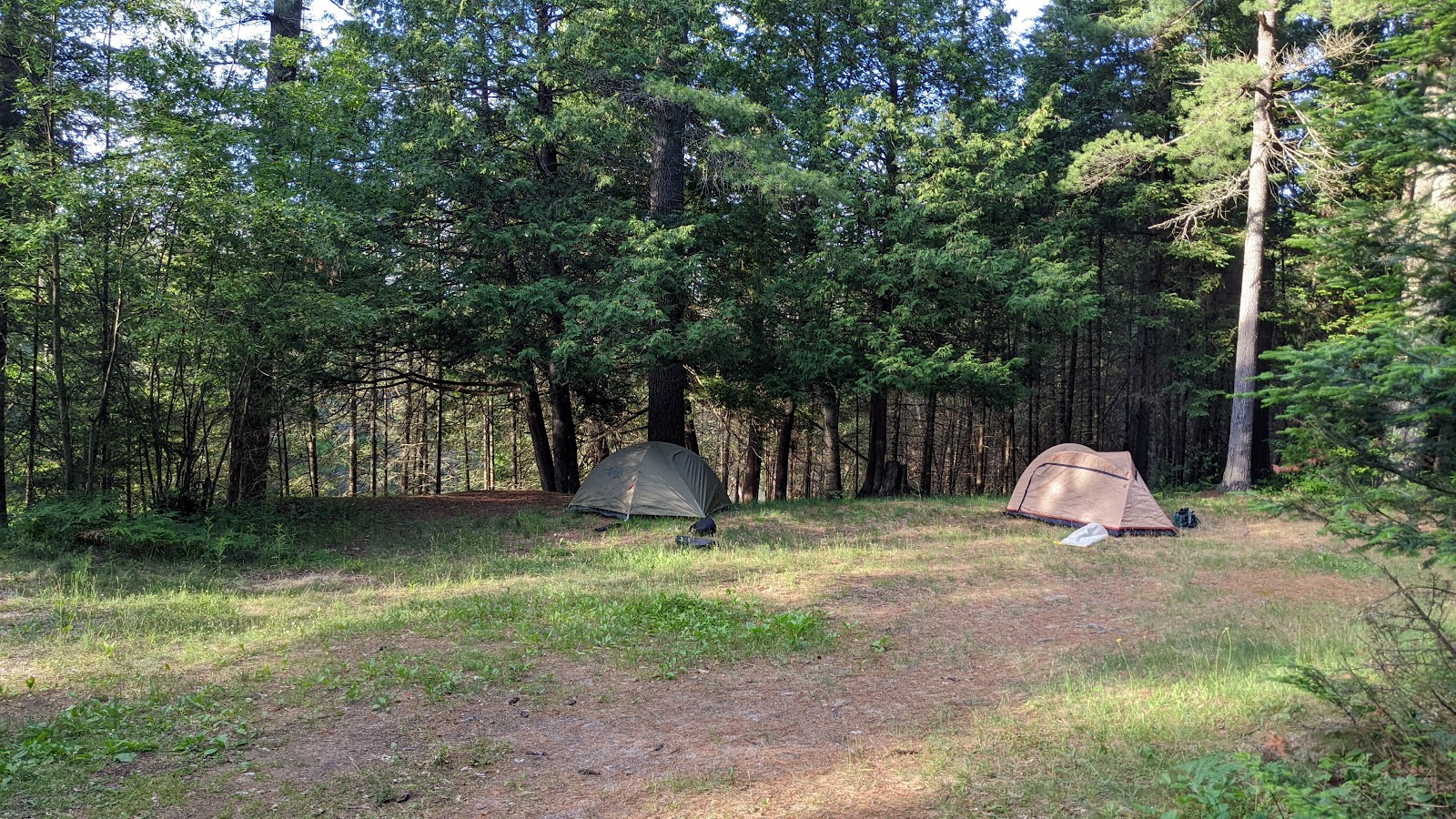 Cathedral Pines Campground