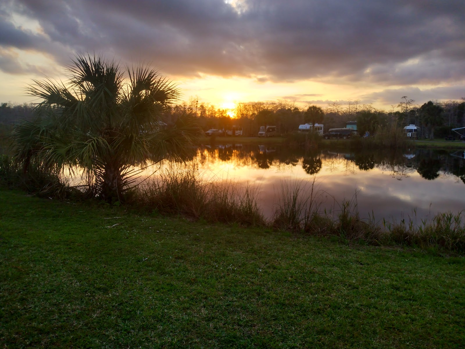 Midway - Big Cypress National