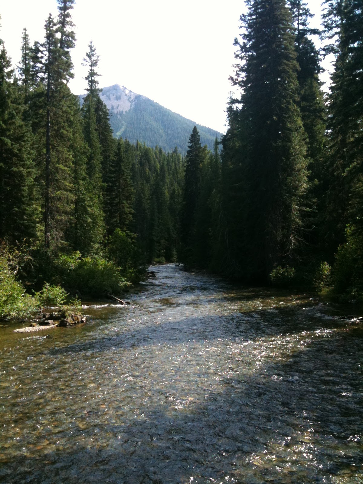 Soda Springs Campground