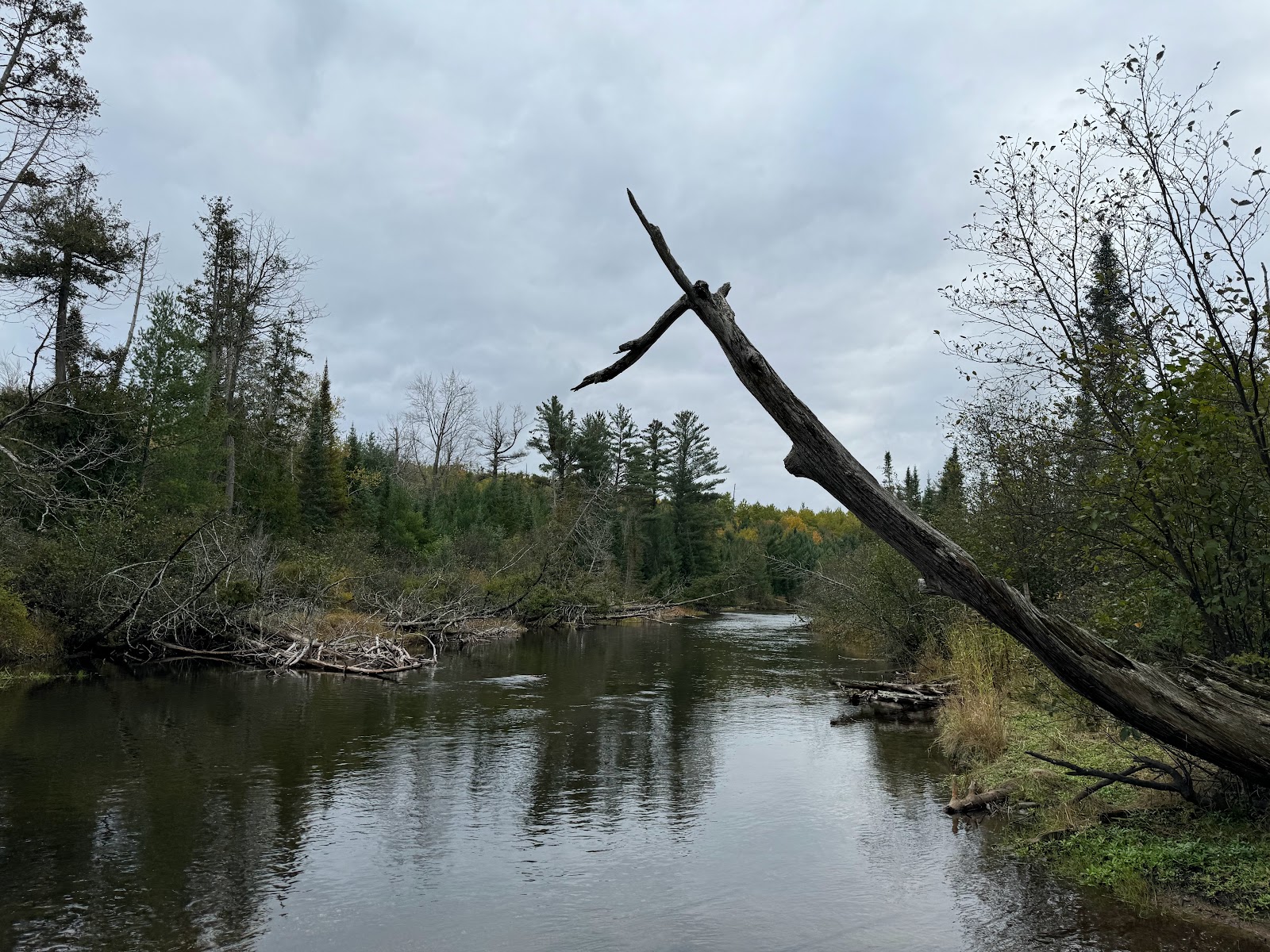 Canoe Harbor Campground