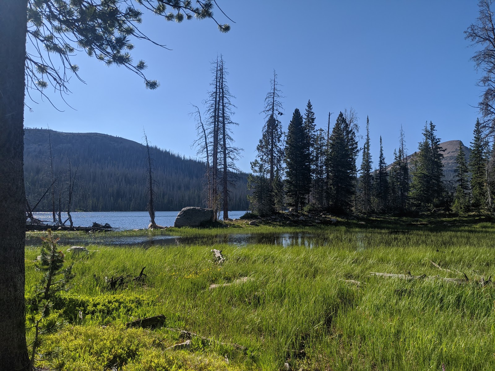 Washington Lake Campground