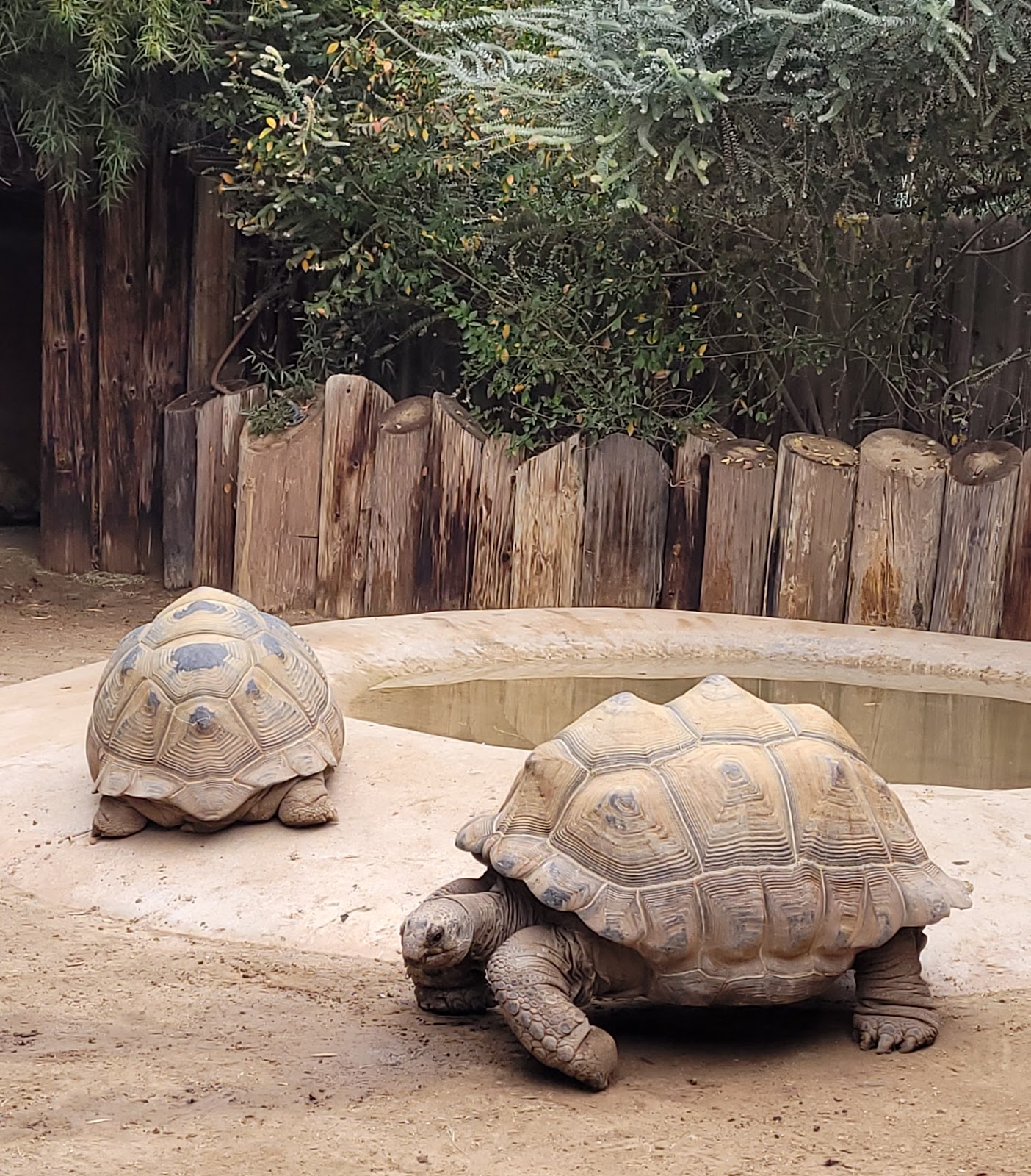 Wildlife World Zoo, Aquarium & Safari Park