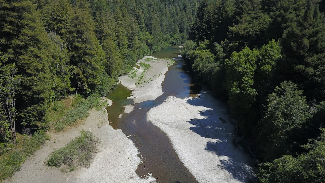 Gualala River Redwood Park