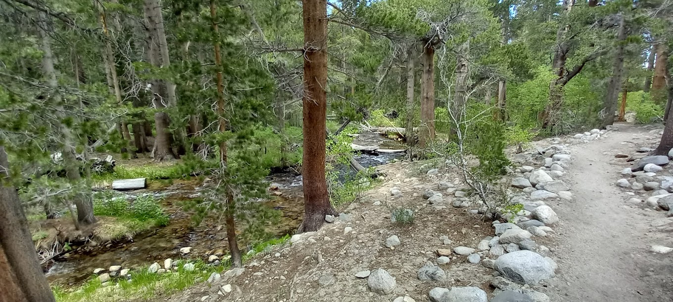 East Fork Campground – Inyo National Forest (CA)