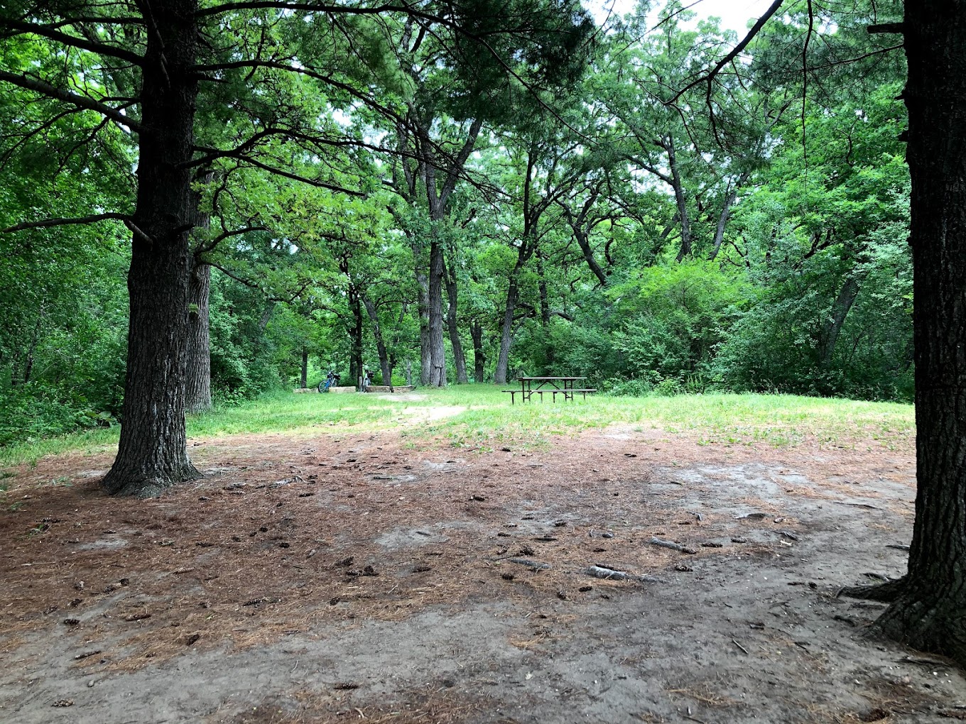 Rock Cut RV Park and Campground