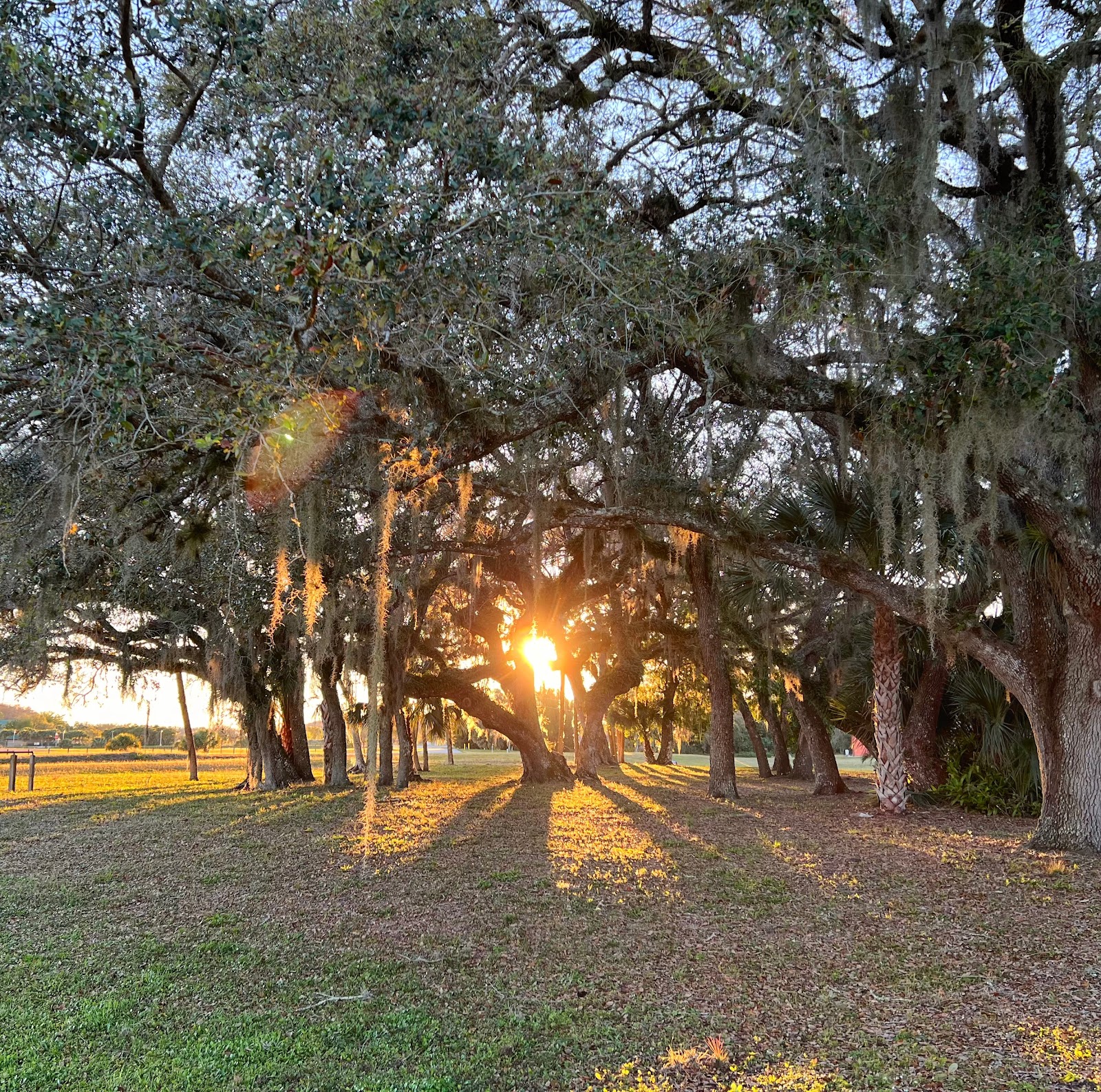 Big Cypress RV Resort & Campground