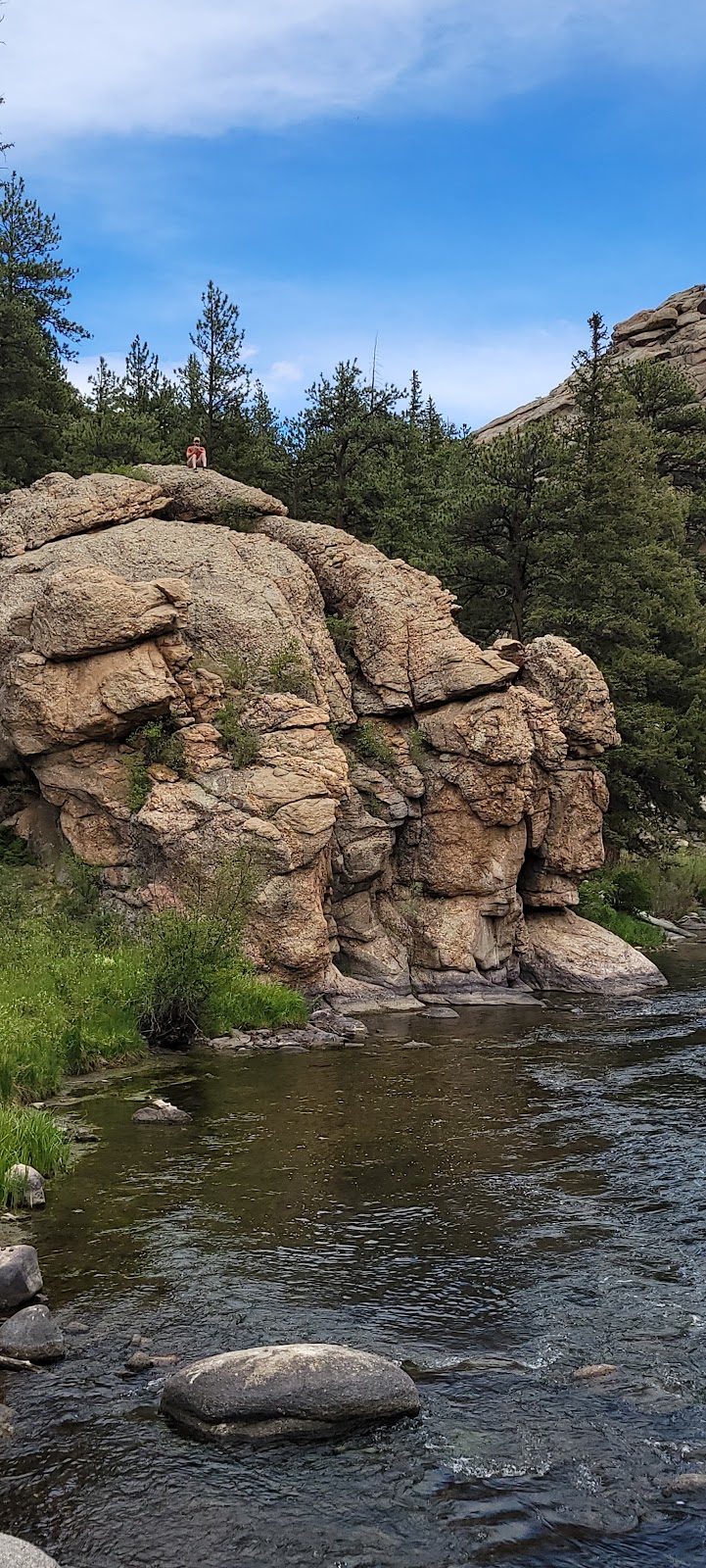 Springer Gulch Campground