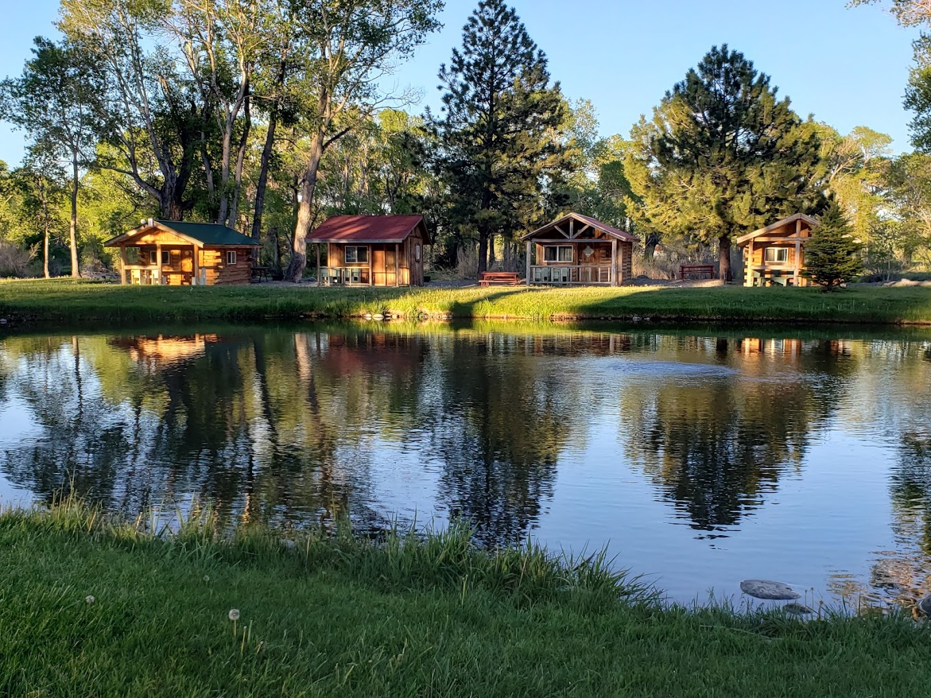 Spring Creek Trout Ranch and Campground