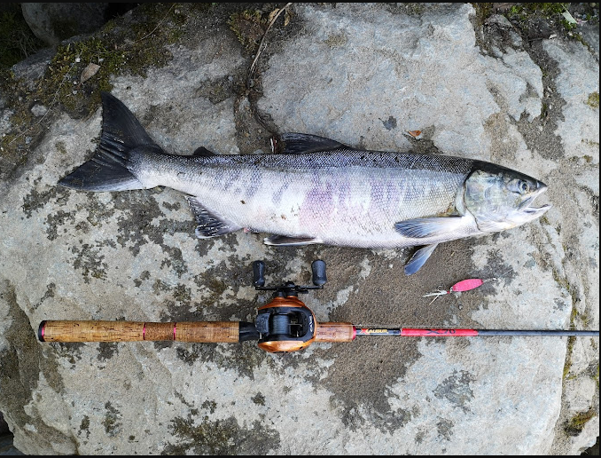 Montana Creek State Recreation Site