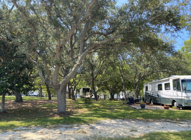 Beech Campers
