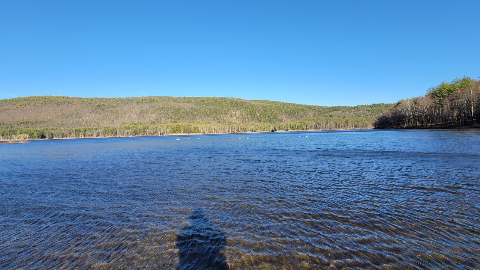 Surry Mountain Campground