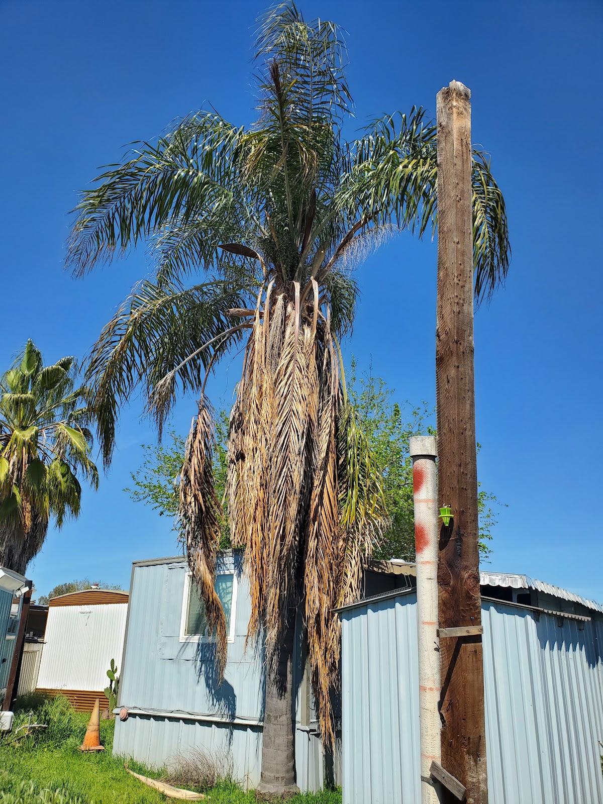 New Horizons Mobile/RV Park