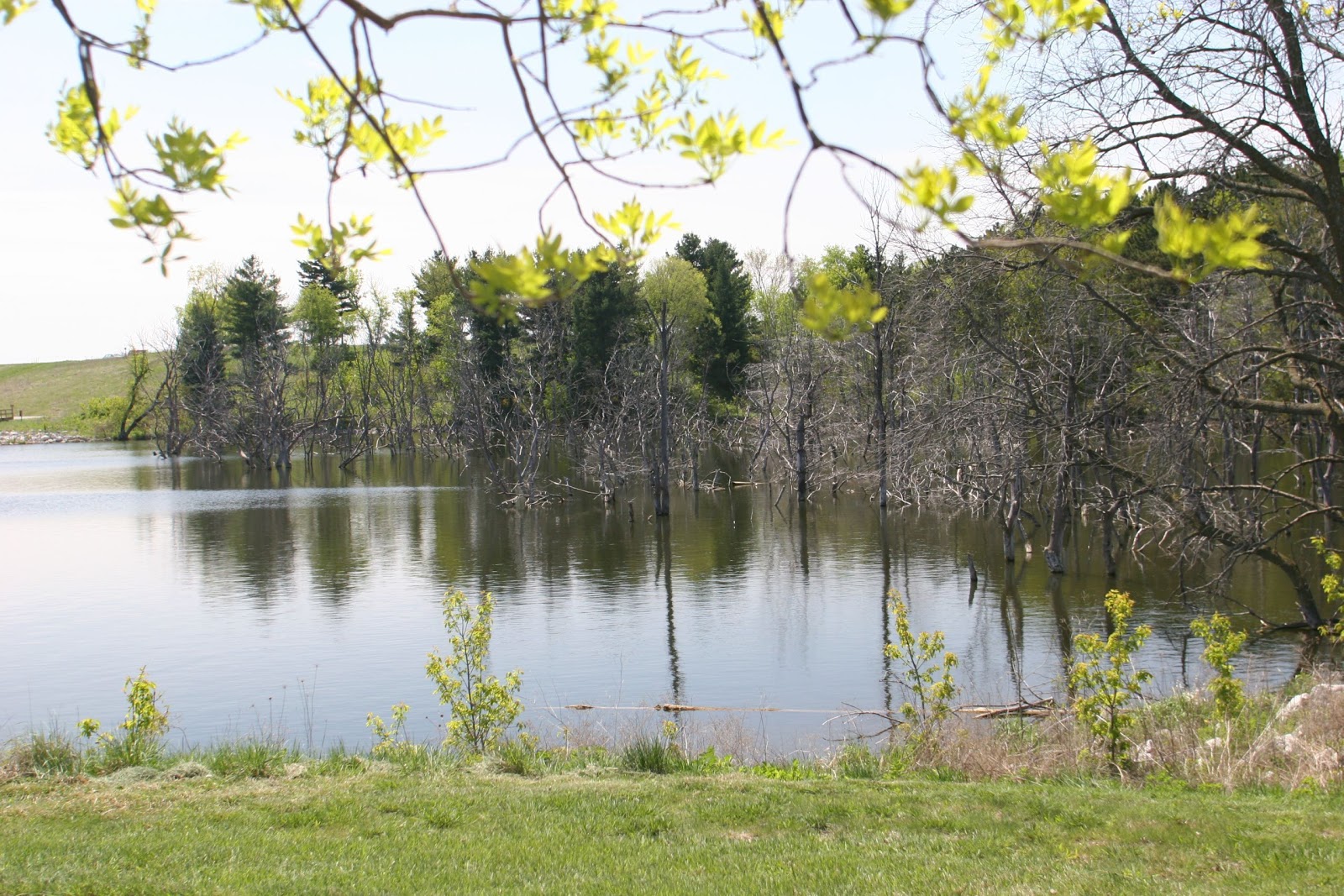 Brushy Creek State Park