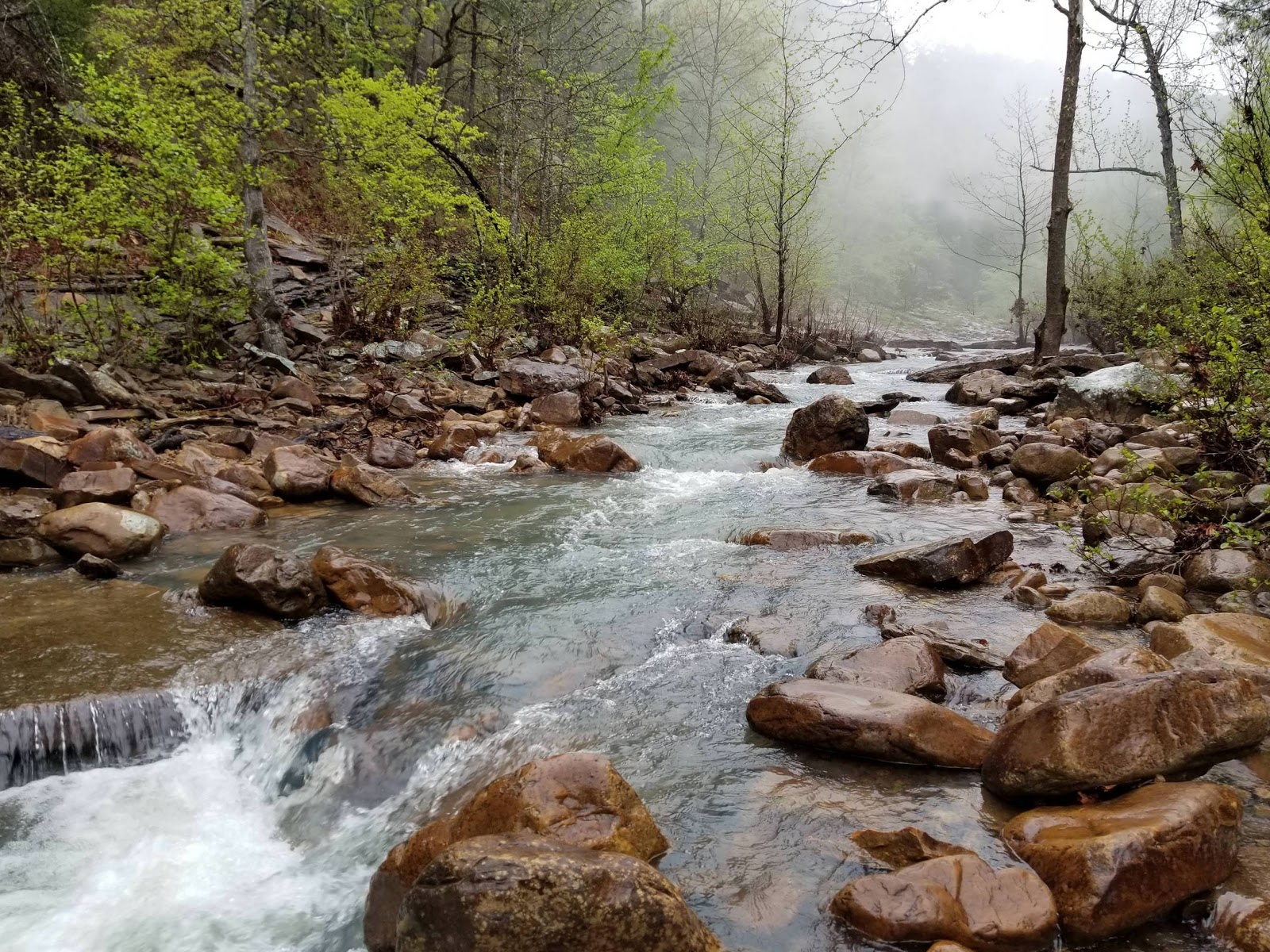 Big Cedar RV Park & Cabins