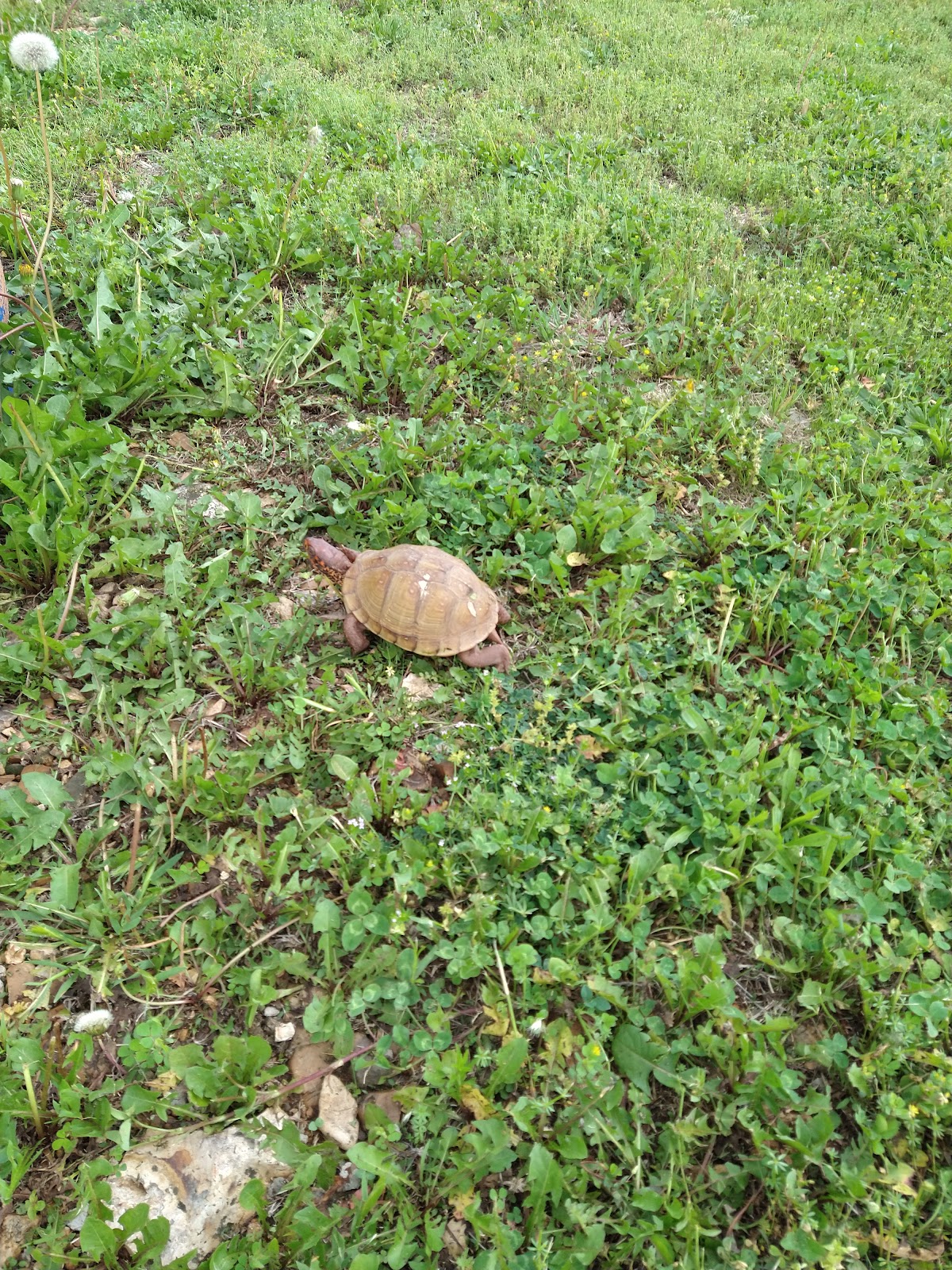 Big Shoal RV Country