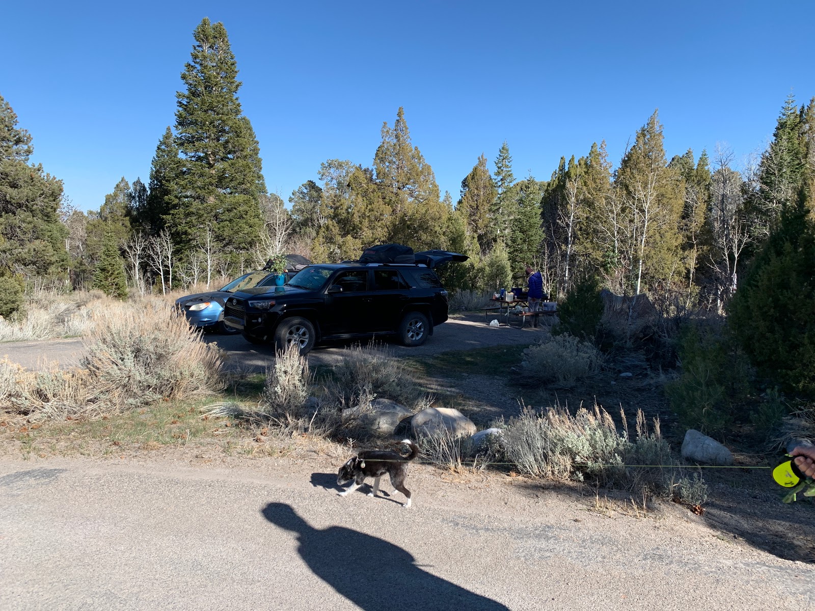 Lower Lehman Creek - Great Basin National Park