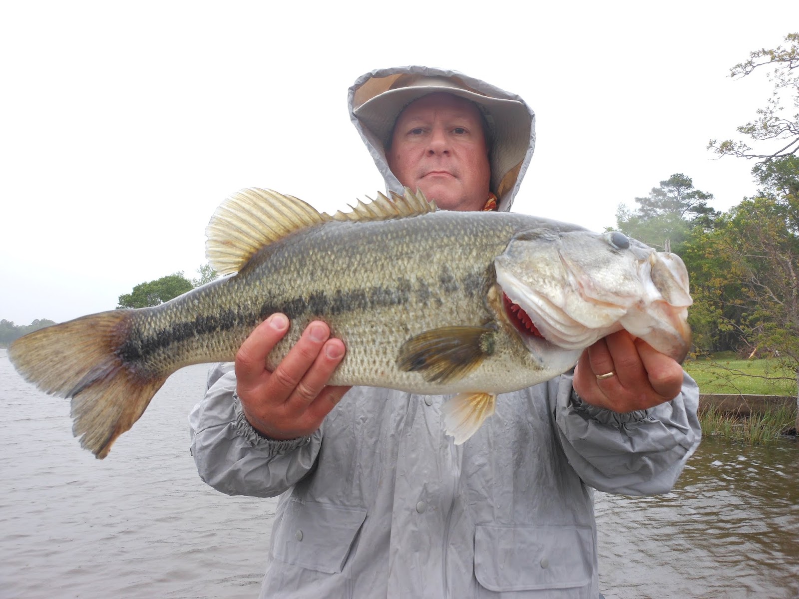 Lake Murvaul Park & Marina